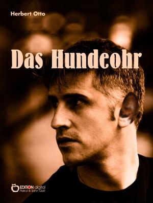 Cover of the book Das Hundeohr by Ulrich Völkel