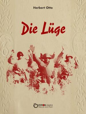 Cover of the book Die Lüge by Heinz-Jürgen Zierke