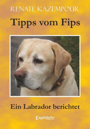 Cover of the book Tipps vom Fips by Katja Brinkert