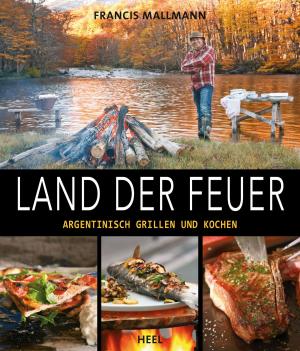 Cover of the book Land der Feuer by Anne-Charlotte Vuccino