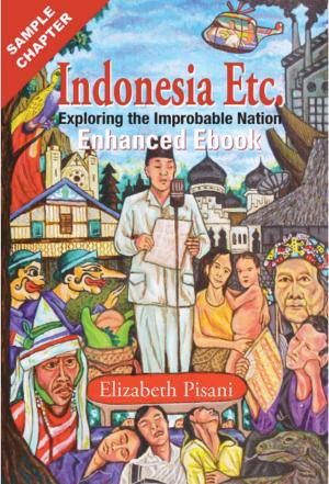 Book cover of Indonesia Etc: ENHANCED EBOOK, FREE SAMPLE CHAPTER