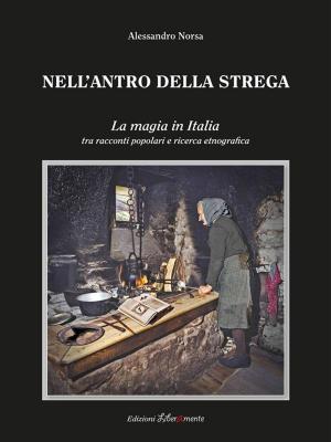 Cover of the book Nell'antro della strega by Juan Miguel Dominguez