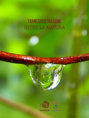 Book cover of Oltre la Natura