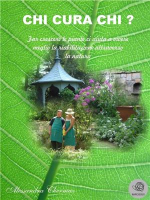 Cover of the book Chi cura chi? by Jennifer Dagi