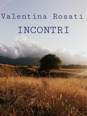 Cover of the book Incontri by Mark Fine