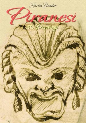 Book cover of Piranesi:80 Drawings