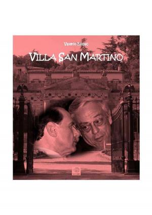 Book cover of Villa San Martino
