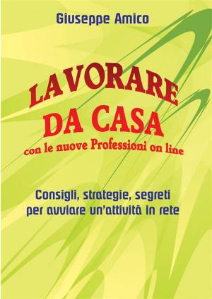 Cover of Lavorare da casa con le nuove Professioni on line - Consigli, strategie, segreti per avviare un’attività in rete