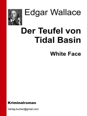 Cover of Der Teufel von Tidal Basin