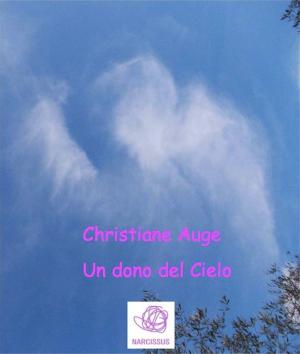 Cover of the book Un dono del Cielo by Daniele F. Cavallo