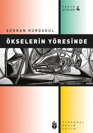 Cover of the book Ökselerin Yöresinde by Richard Michael Parker