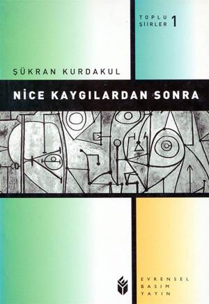 Cover of the book Nice Kaygılardan Sonra by Asım Bezirci