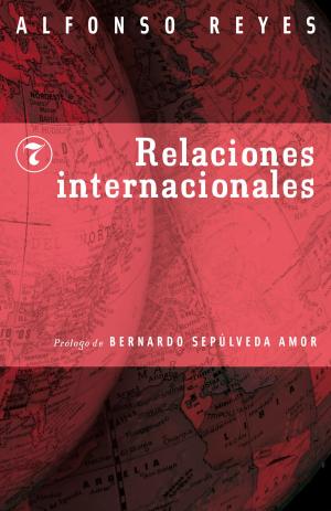 Cover of the book Relaciones internacionales by Homero Aridjis