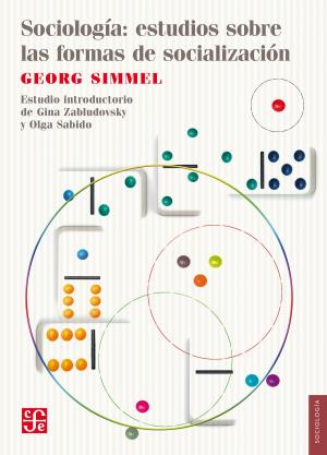 Book cover of Sociología