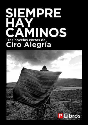 Cover of the book Siempre hay caminos by Jon Ballard