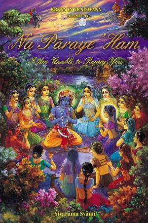 Cover of the book Na Pāraye ’Ham by Dr. A. V. Srinivasan