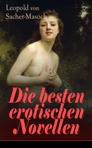 Book cover of Die besten erotischen Novellen