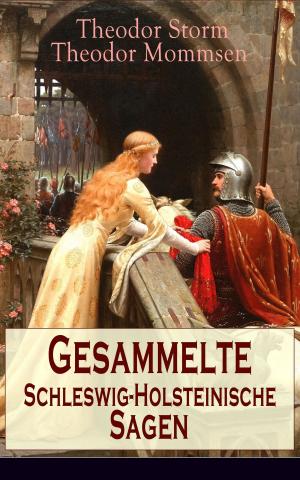 Book cover of Gesammelte Schleswig-Holsteinische Sagen