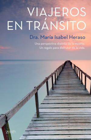 Cover of the book Viajeros en tránsito by Javier Moro