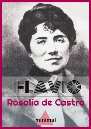Cover of the book Flavio by Eduardo Acevedo Díaz