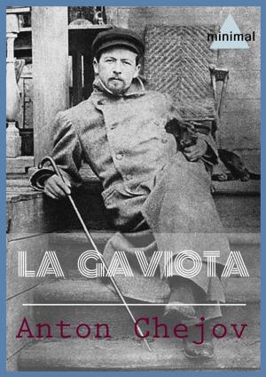 Book cover of La gaviota