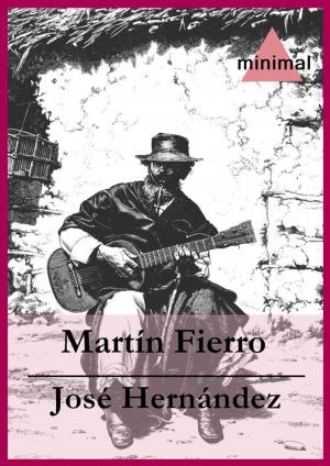 Cover of the book Martín Fierro by Eduardo Acevedo Díaz