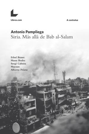 Cover of the book Siria. Más allá de Bab al-Salam by Daniel Mendoza