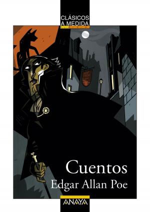 Cover of the book Cuentos de Poe by Ana Alcolea