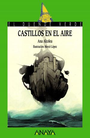 Book cover of Castillos en el aire