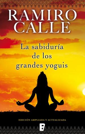 Cover of the book La sabiduría de los grandes Yoguis by Almudena Cid