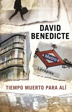 Cover of the book Tiempo muerto para Alí by David B. Gil
