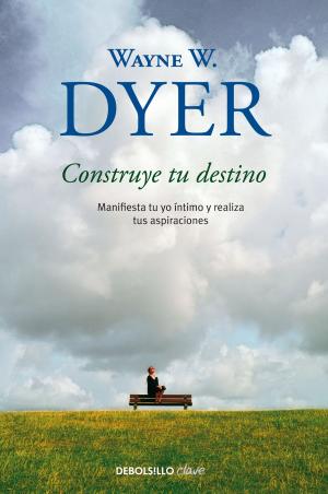 Cover of the book Construye tu destino by Manuel Vicent