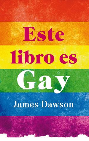 Book cover of Este libro es gay