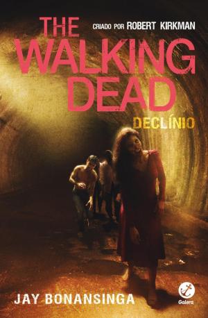 Book cover of Declínio - The Walking Dead - vol. 5