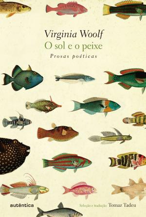 Cover of the book O Sol e o Peixe by F. Scott Fitzgerald, Guy de Maupassant, Henry James, Jules Barbey d'Aurevilly, Pierrette Fleutiaux