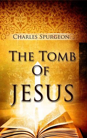 Cover of the book The Tomb of Jesus by J.H Willard