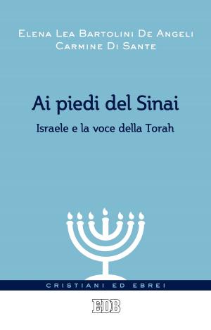 Book cover of Ai piedi del Sinai