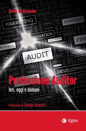 Cover of the book Professione Auditor by Angelo Contrino