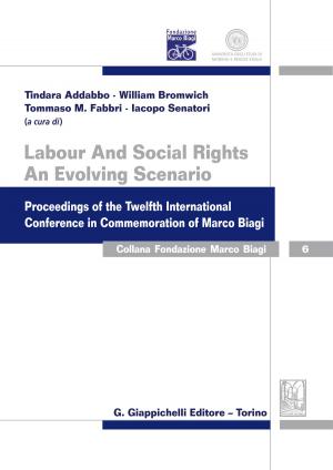Book cover of Labour And Social Rights. An Evolving Scenario