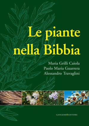 Book cover of Le piante nella Bibbia