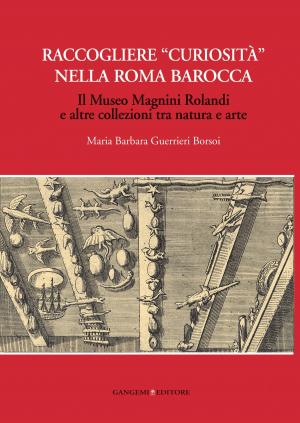 Cover of the book Raccogliere “curiosità” nella Roma barocca by Sergio Belardinelli