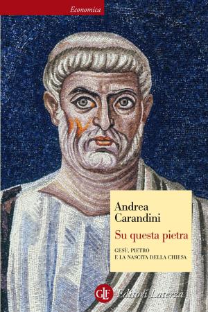 Cover of the book Su questa pietra by Roberto Casati