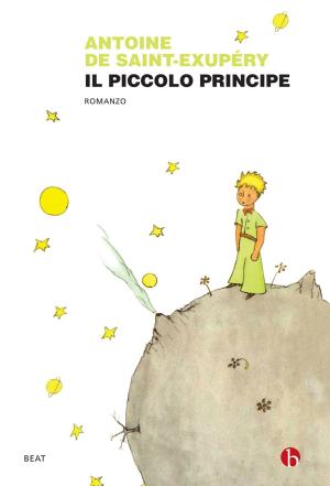 Book cover of Il Piccolo Principe