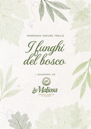 Book cover of I Funghi del Bosco