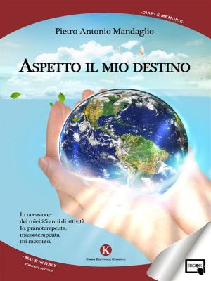 Cover of the book Aspetto il mio destino by Franco Emanuele Carigliano