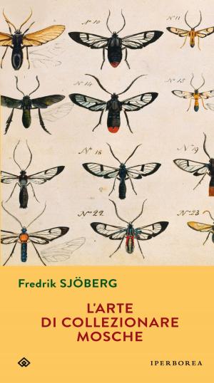Cover of L'arte di collezionare mosche