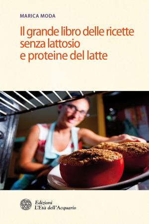bigCover of the book Il grande libro delle ricette senza lattosio e proteine del latte by 