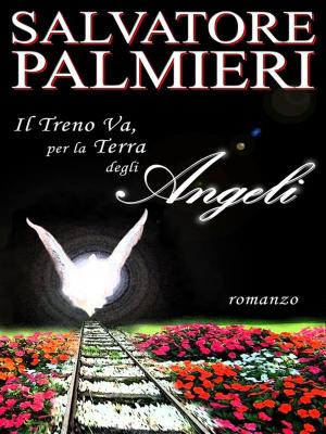 Book cover of Il treno va, per la terra degli angeli