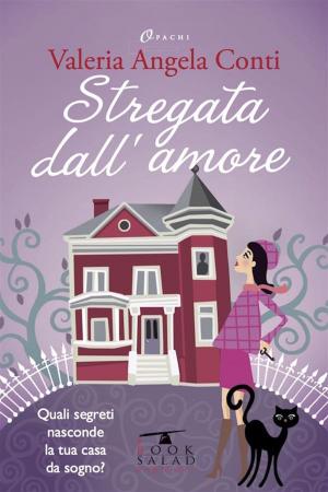 Cover of the book Stregata dall’amore by Stephanie Burgis