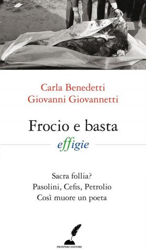 Book cover of Frocio e basta